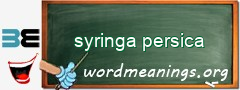 WordMeaning blackboard for syringa persica